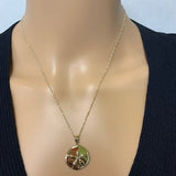 14K Gold Sand Dollar Necklace - Beach Jewelry - Gianni Deloro