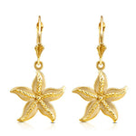 14k solid gold star fish lever back earrings