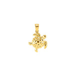 14k solid gold turtle pendant